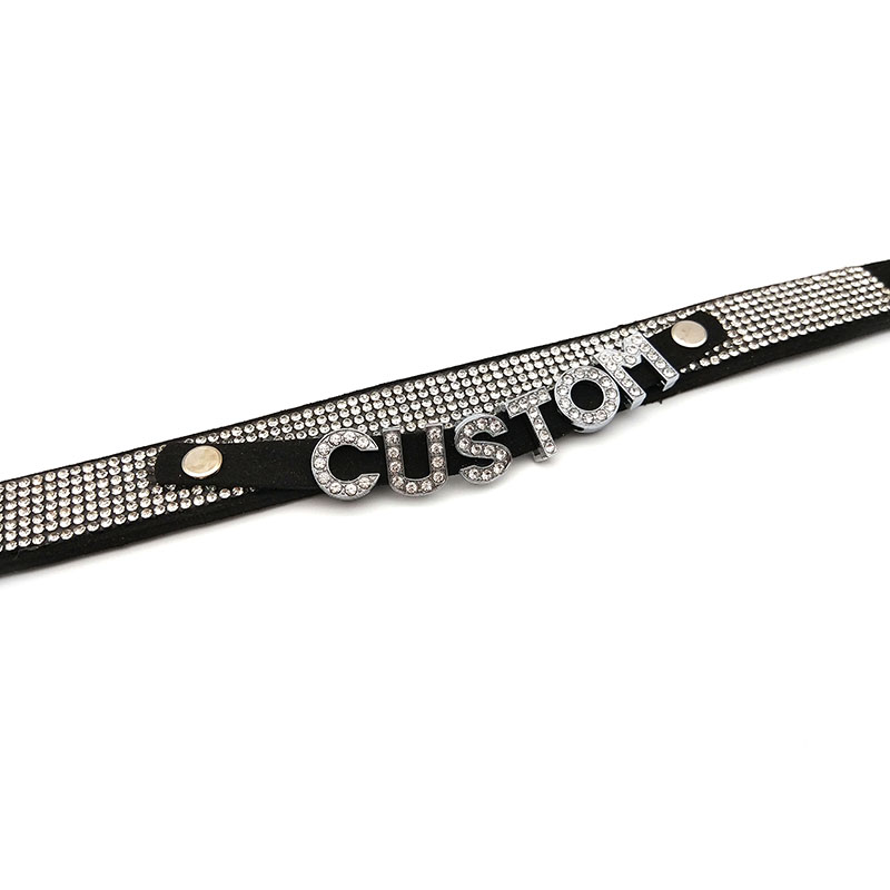 光沢のあるラインストーンの手紙カスタム首輪チョーカーネックレ - Crystal Choker Necklace のレビューと価格